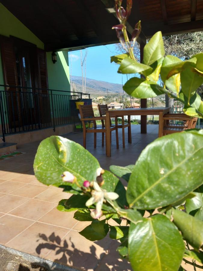 ザッフェラーナ・エトネーア Etna Green Houseヴィラ エクステリア 写真