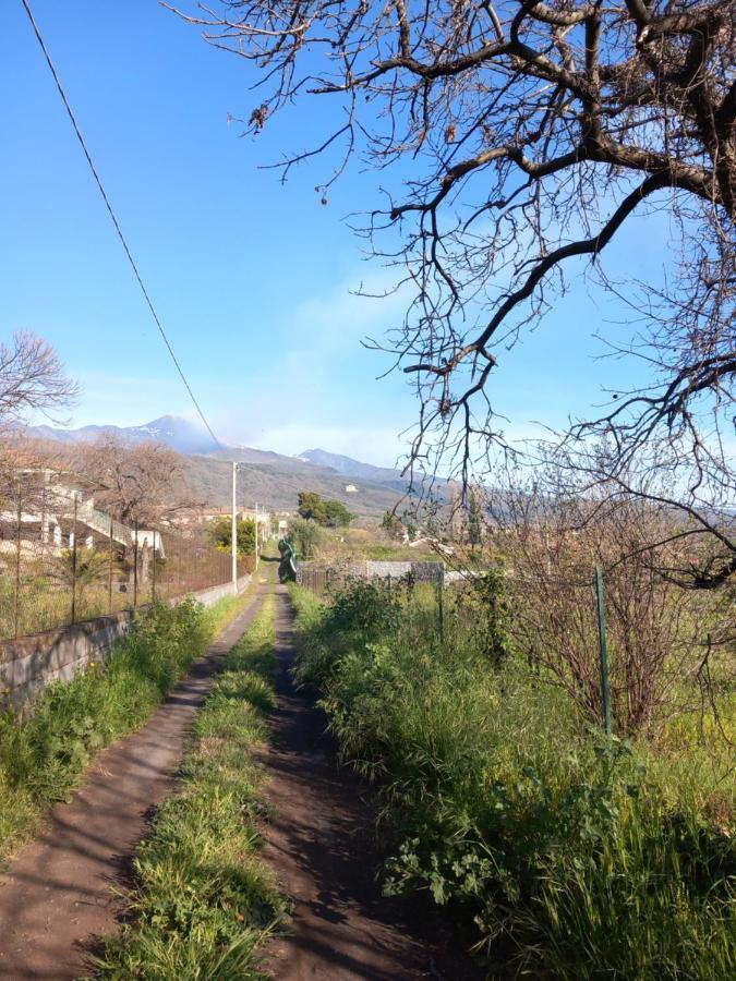 ザッフェラーナ・エトネーア Etna Green Houseヴィラ エクステリア 写真