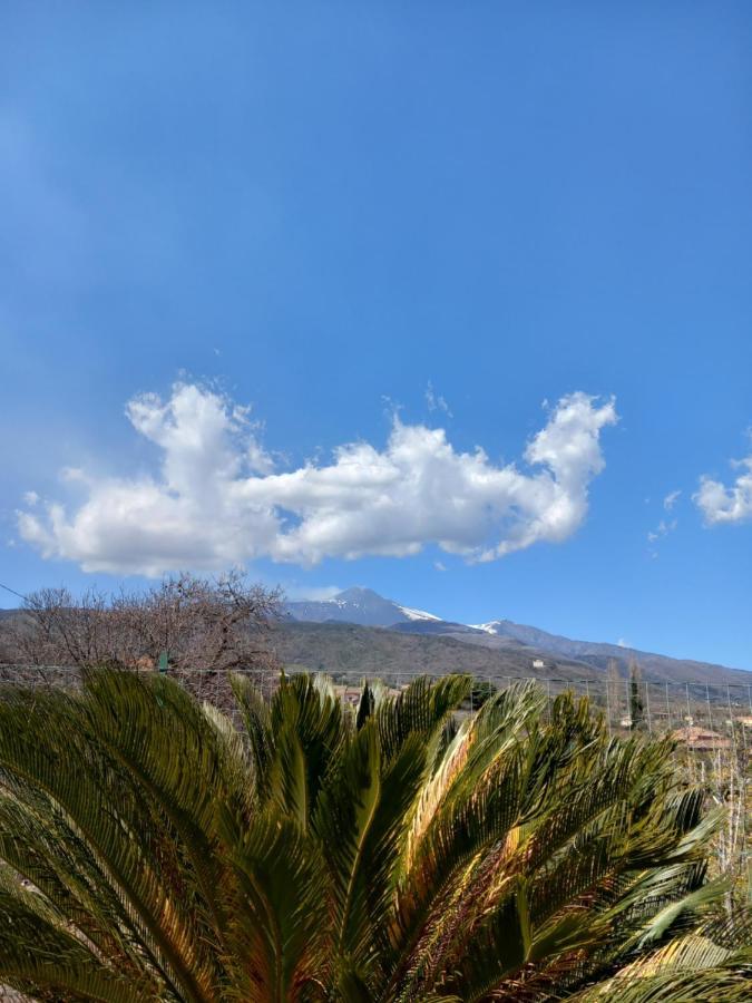ザッフェラーナ・エトネーア Etna Green Houseヴィラ エクステリア 写真