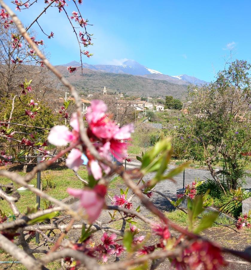 ザッフェラーナ・エトネーア Etna Green Houseヴィラ エクステリア 写真