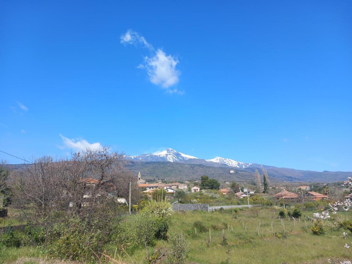 ザッフェラーナ・エトネーア Etna Green Houseヴィラ エクステリア 写真