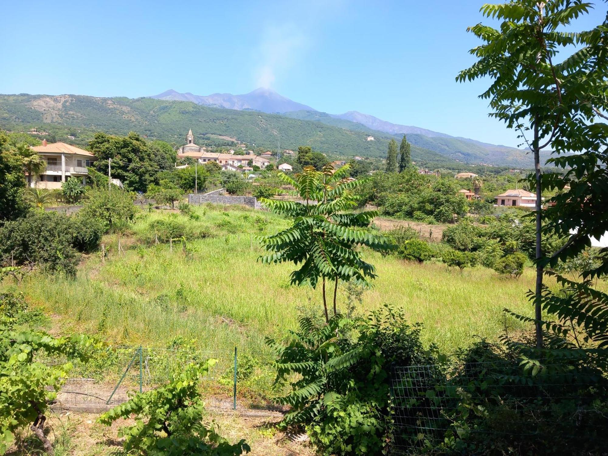 ザッフェラーナ・エトネーア Etna Green Houseヴィラ エクステリア 写真